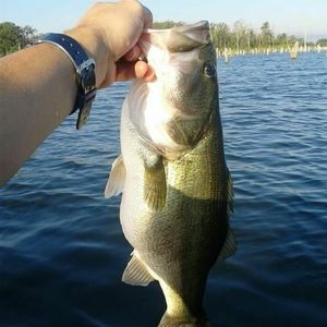 Meet your Posher, John david